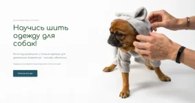0.webp