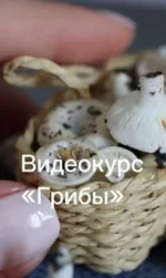 0.webp