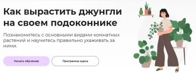 0.webp