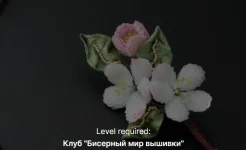0.webp