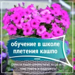 0.webp