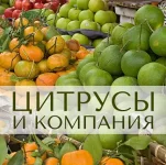 0.webp