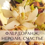 0.webp