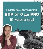 0.webp