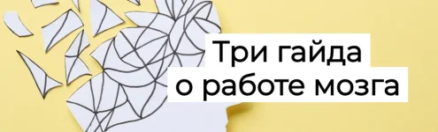002.webp