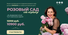 0.webp