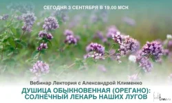 0.webp