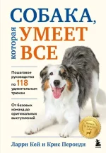 0.webp