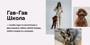0.webp