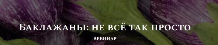 0.webp
