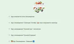 0.webp