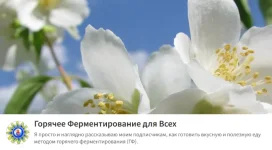 0.webp