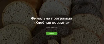 0.webp