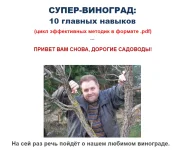 0.webp