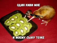 0.webp