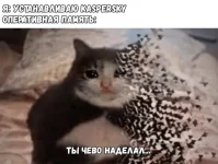 0.webp