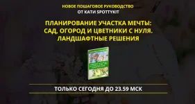 0.webp
