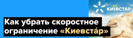 0.webp
