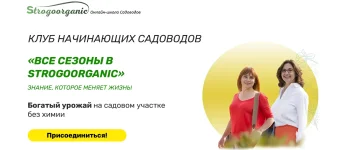 0.webp
