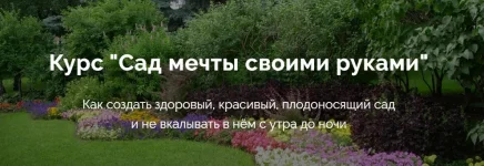 0.webp