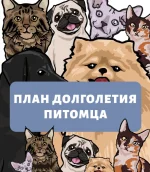 0.webp
