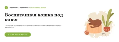 0.webp