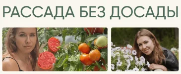 0.webp