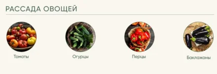 0.webp