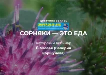 0.webp