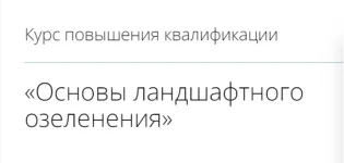 0.webp