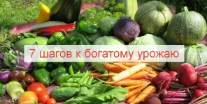 0.webp