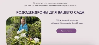 0.webp