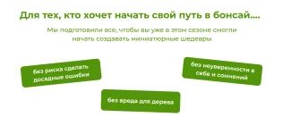 0.webp