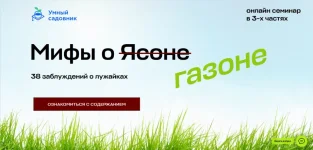 0.webp
