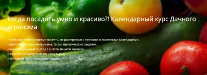 0.webp