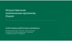 0.webp