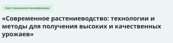 0.webp