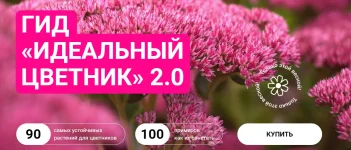 0.webp