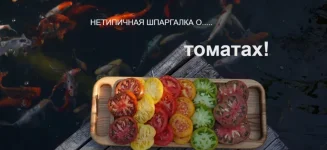 0.webp