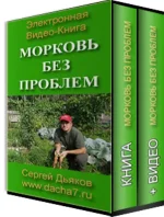0.webp