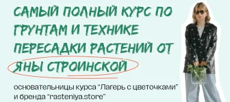 0.webp