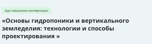 0.webp