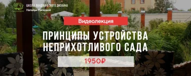 0.webp