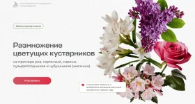 0.webp