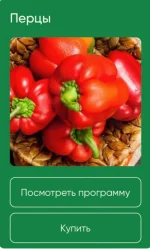 0.webp