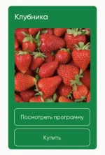 0.webp