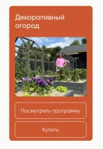 0.webp