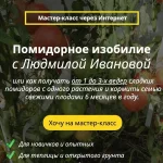 0.webp