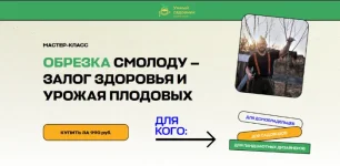 0.webp