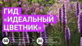 0.webp